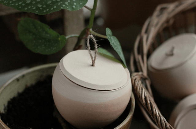 Olla à planter