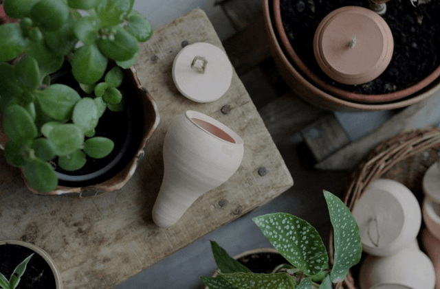 Olla à planter